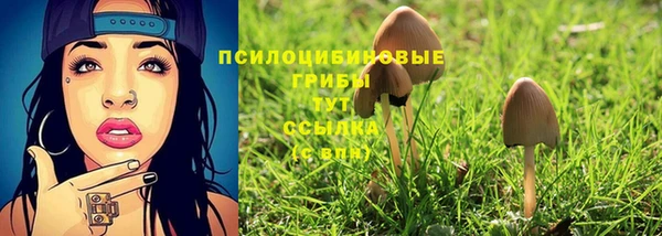 каннабис Алексеевка