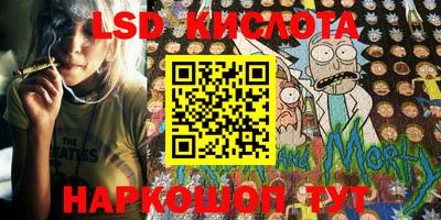 PSILOCYBIN Тула