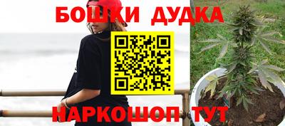 PSILOCYBIN Тула