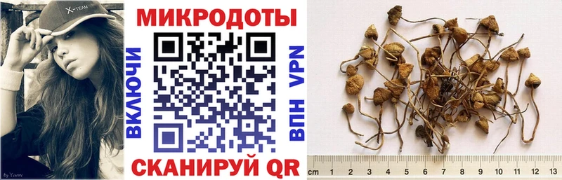 Псилоцибиновые грибы мицелий  Павлово 