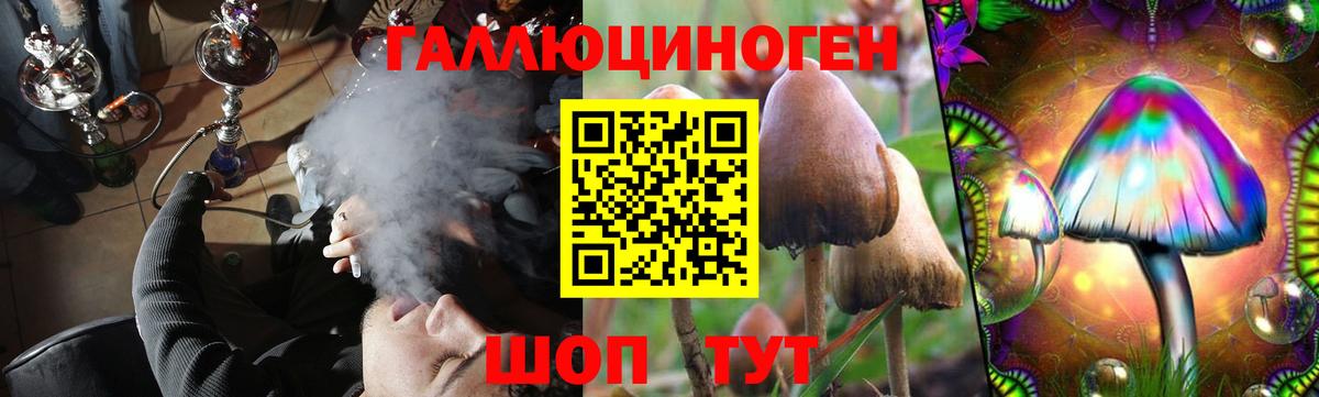Павлово  даркнет сайт  Вход с VPN  Галлюциногенные грибы Psilocybine cubensis  Псилоцибиновые грибы мухоморы 